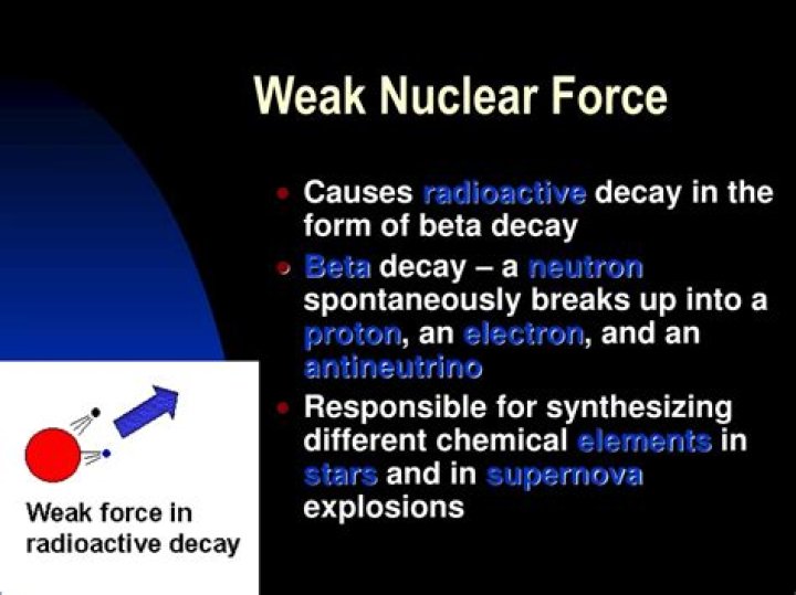 What is the weak nuclear force responsible for?