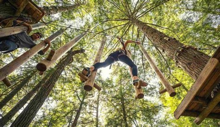 What is the zip line course?