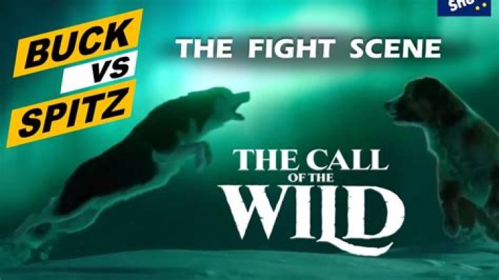 What kind of dog was in Call of the Wild 1997?
