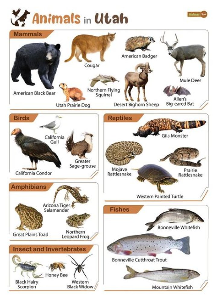 What kind of wild animals are in southern Utah?