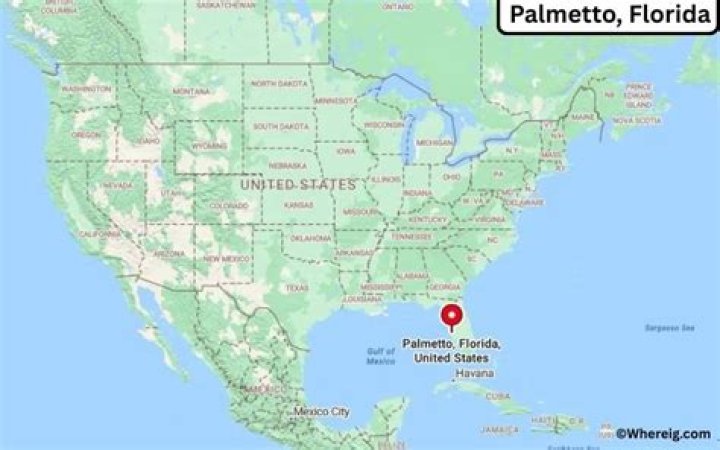 What major city is Palmetto Florida near?