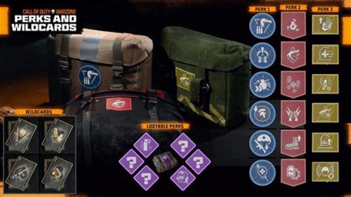 What perk makes you invisible to UAV?