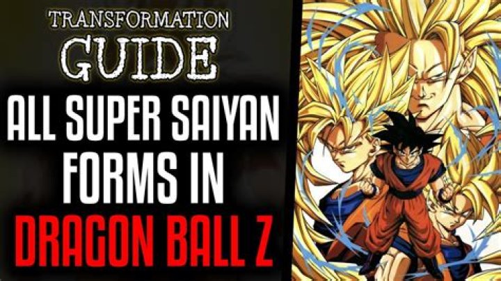 What Saiyan means?