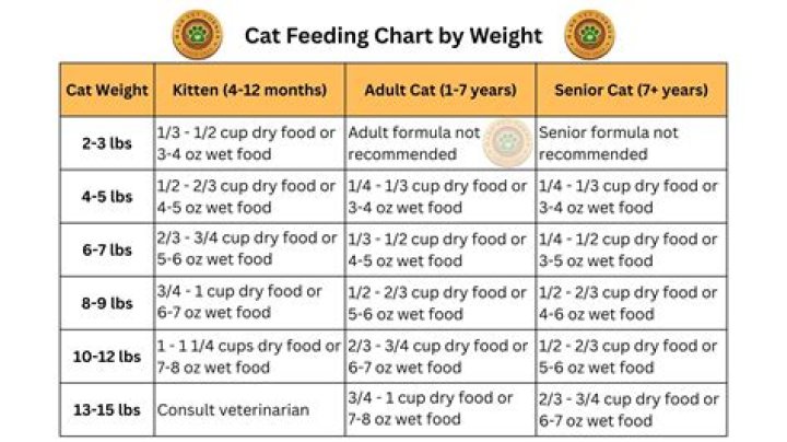 What should I feed my diabetic cat?