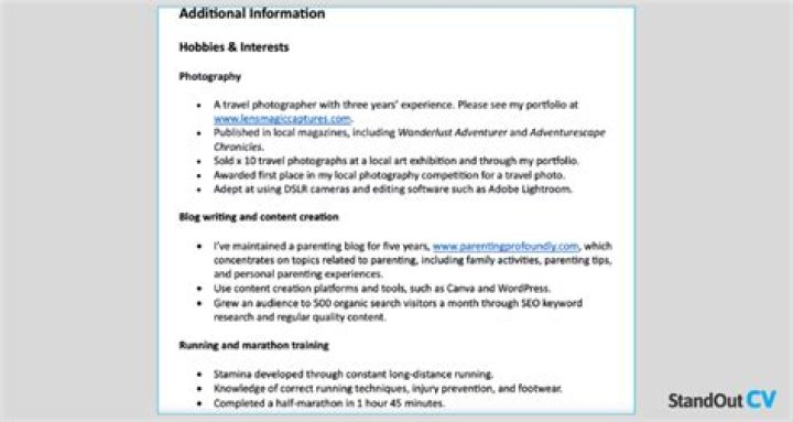 What should I put for additional information on an application?