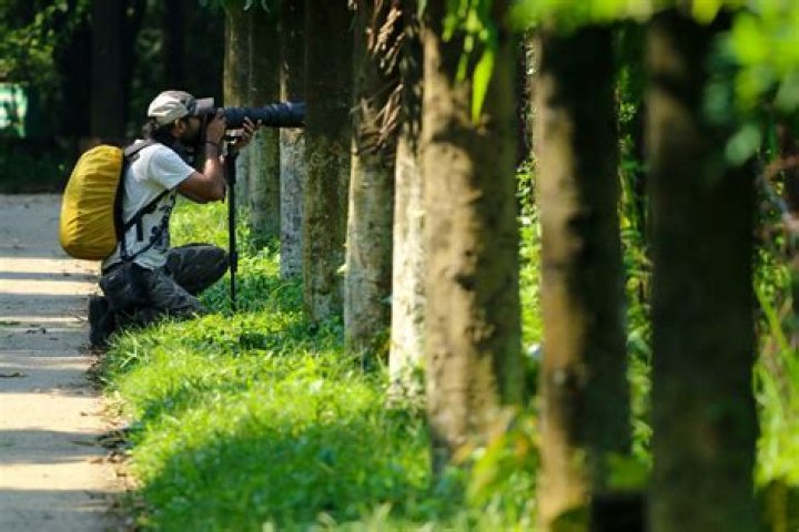 What skills do you need to be a nature photographer?
