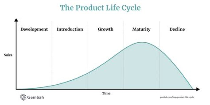 What stage of the product life cycle is Nike in?