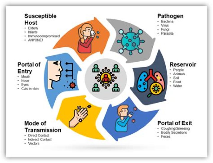 What three basic elements are necessary for a communicable illness to survive and spread?