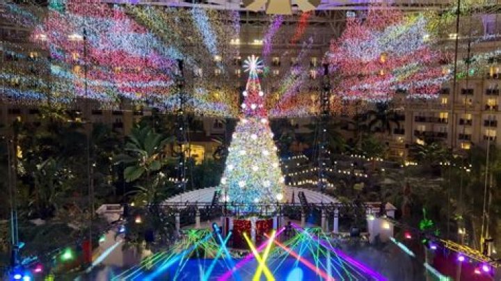 What time is the light show at Gaylord Palms?