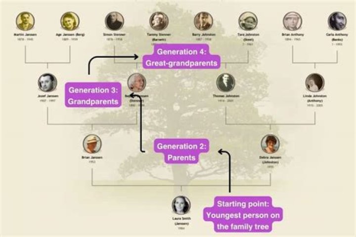 What type of family has 3 generations?