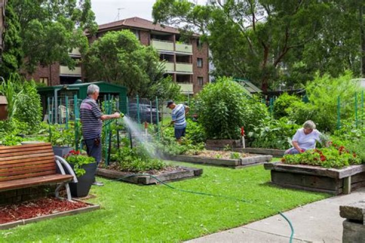 What types of community gardens are there?