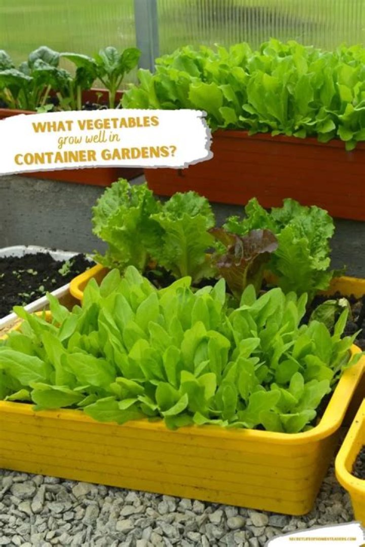 What vegetables grow well in Germany?