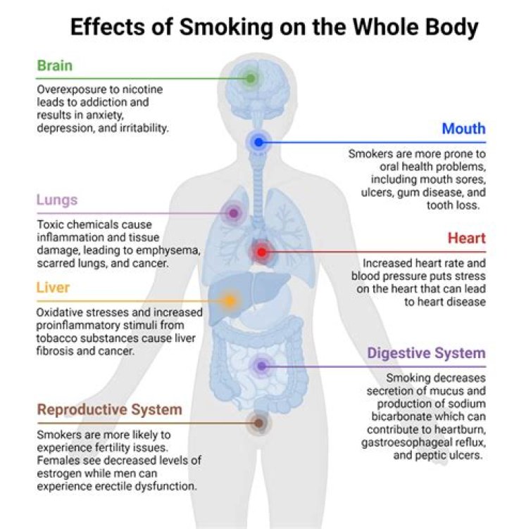 What was a negative effect of growing tobacco apex?