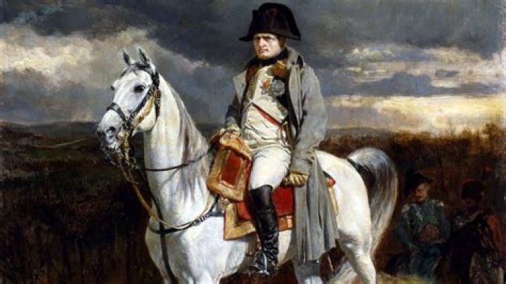What was Napoleon interested in?
