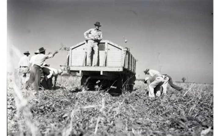 What were the working and living conditions for the braceros?