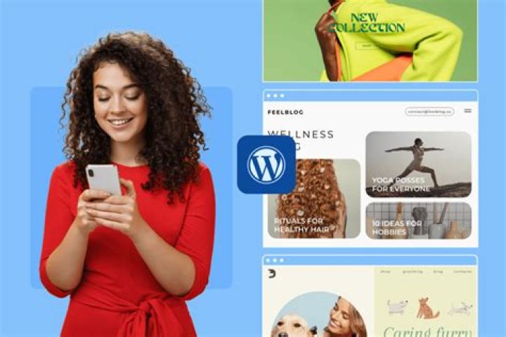 What will attract you towards website?