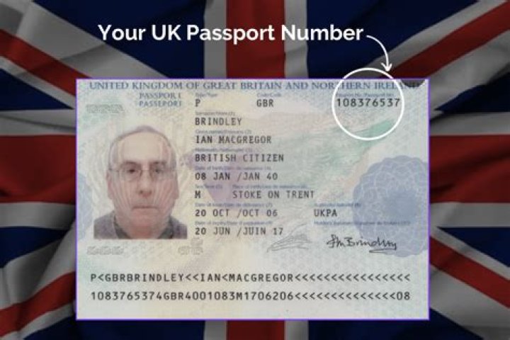 Where do you find passport number?