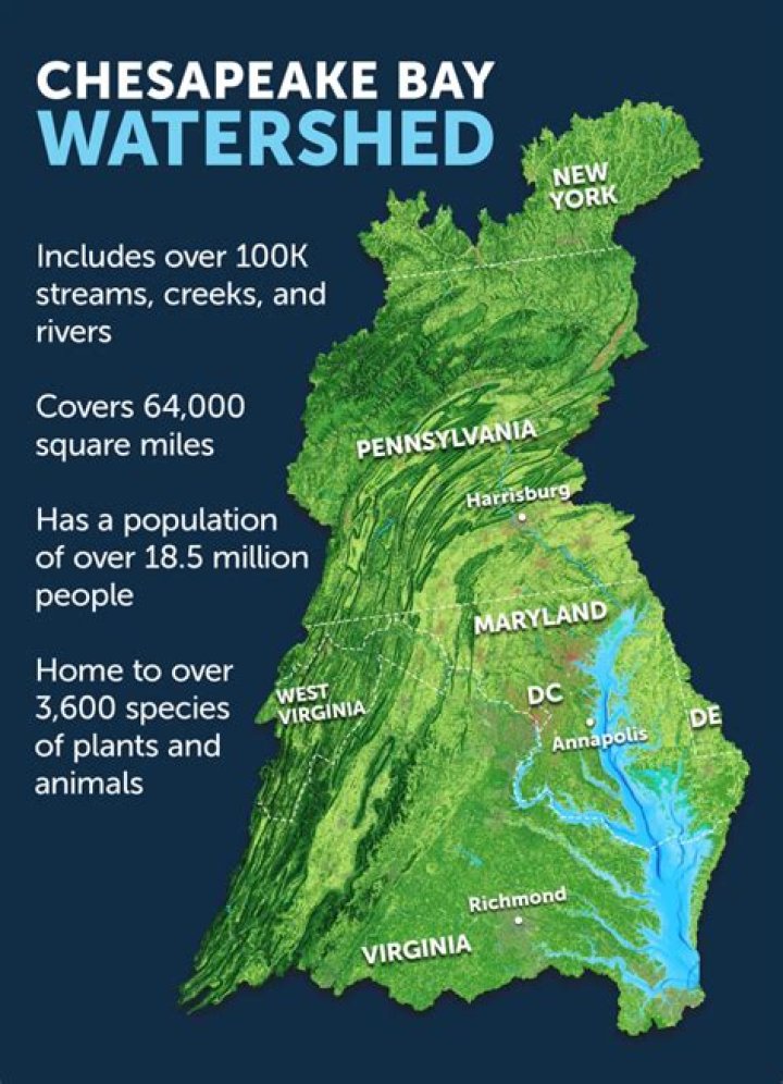 Where does Chesapeake city get its water?
