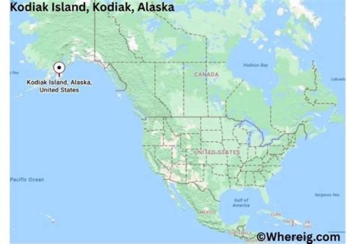Where is Kodiak made?