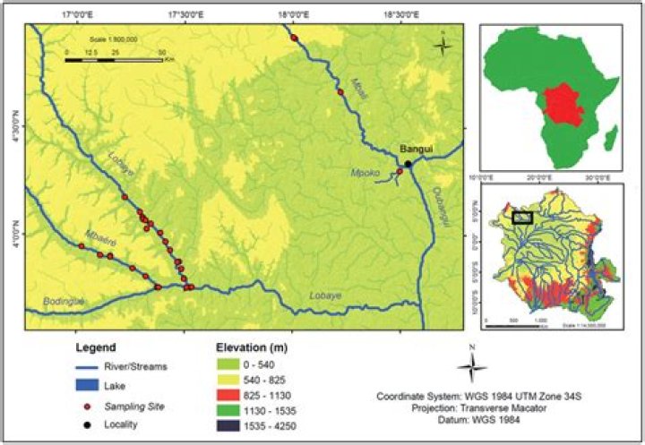 Where is Oubangui?