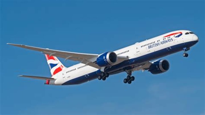 Which airline owns the most 787?