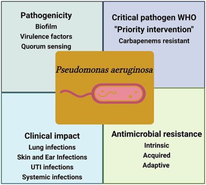 Which antibiotics are resistant to Pseudomonas aeruginosa?