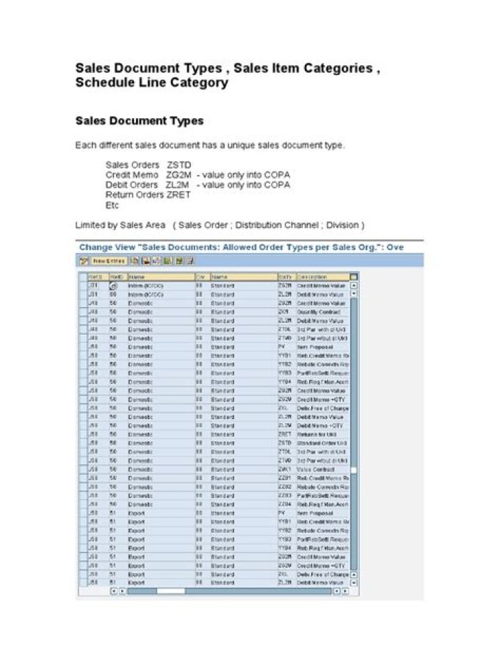 Which are the standard sales document types?