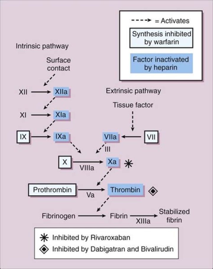 Which inhibitor inactivates factors V and VIII?