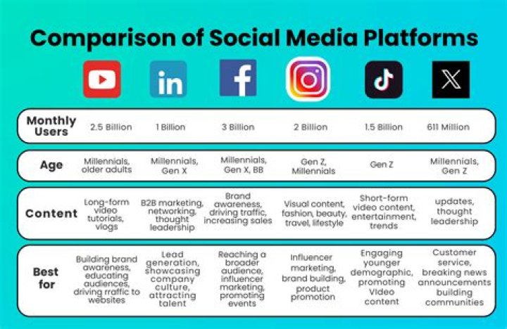 Which is the most popular platform for video ads?