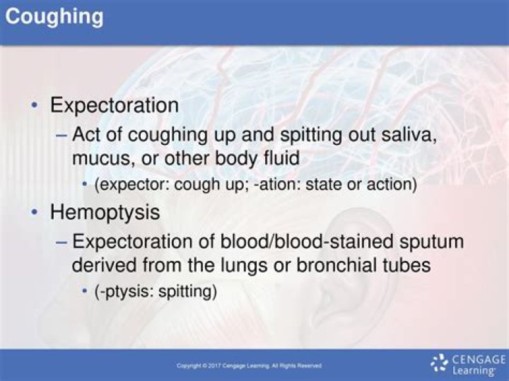 Which term refers to the expectoration of blood from the respiratory tract?