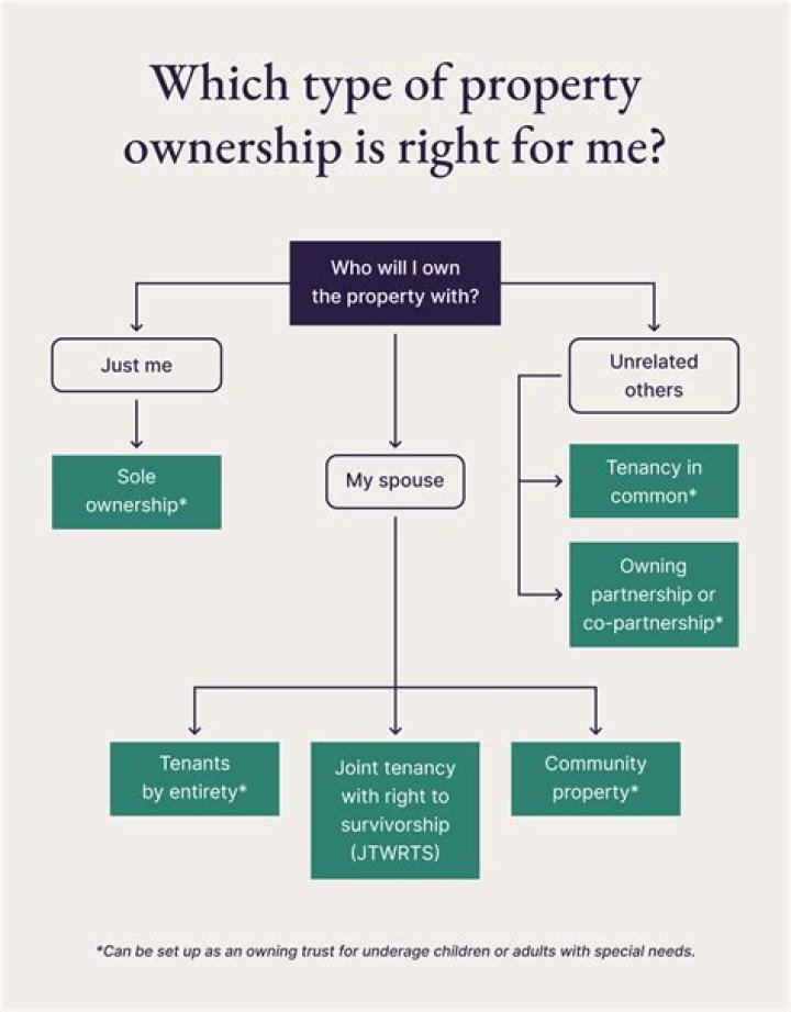 Which type of ownership owns the most nursing homes?