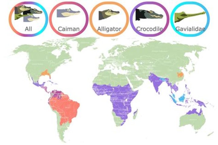 Which US states have crocodiles?