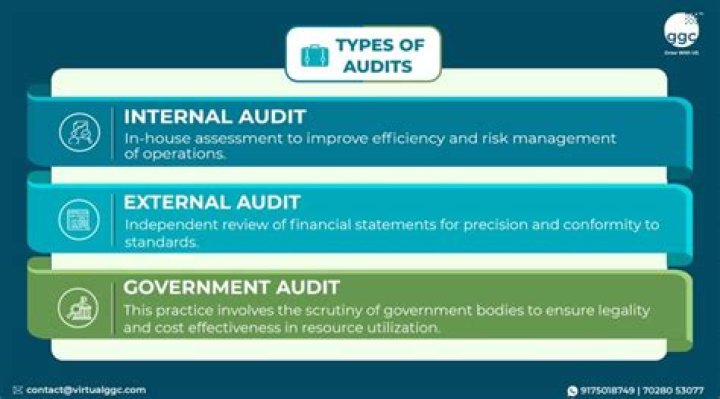 Who audits government financial statements?