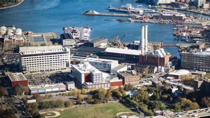 Who owns Brooklyn yard?