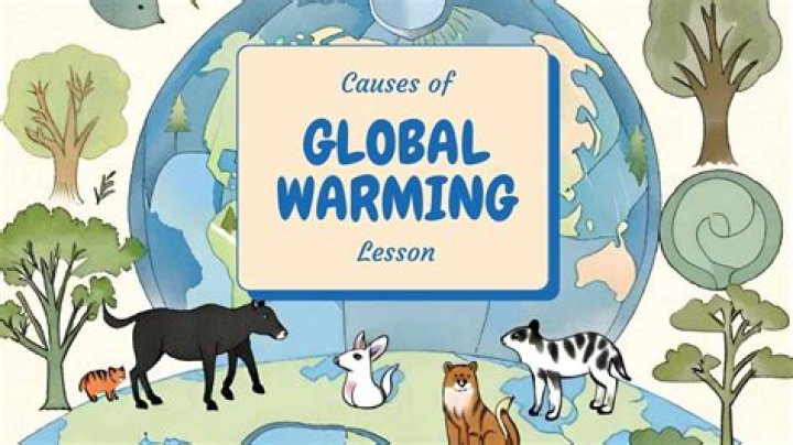 Who owns the warming Store?