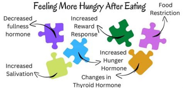 Why am I more hungry on my rest days?