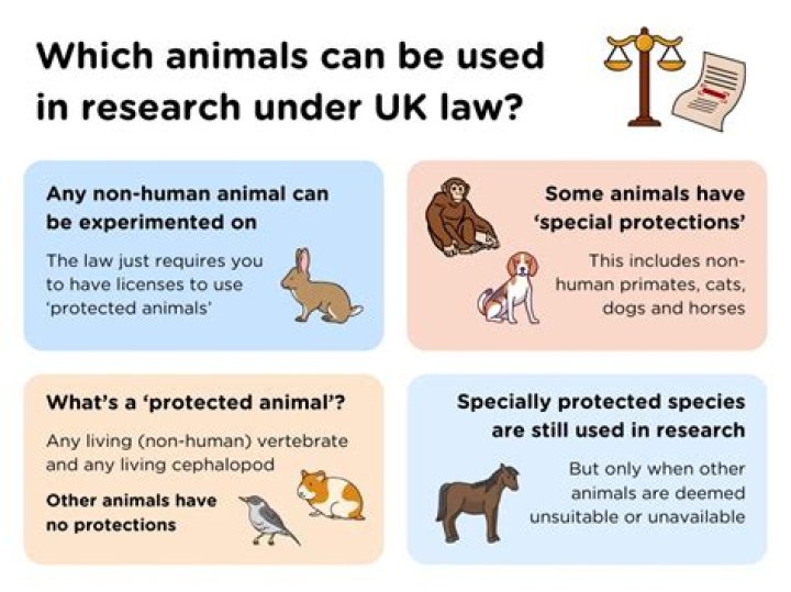 Why are animals good subjects for research?