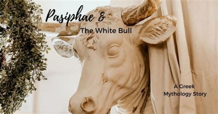 Why did Pasiphae sleep with a bull?