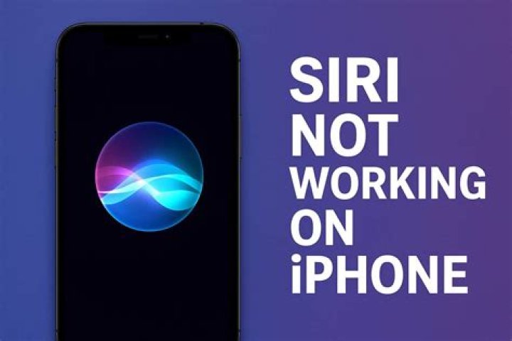 Why is Siri not working on my iPhone 6?