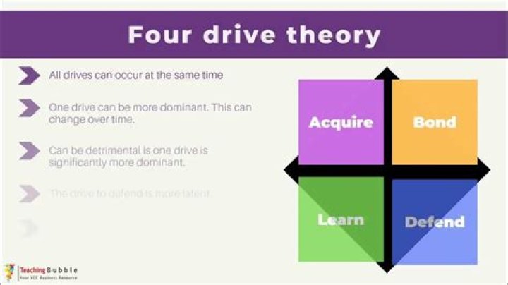 Why is the drive theory important?