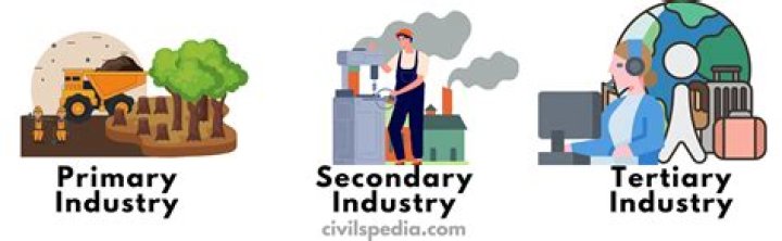 Why tertiary sector is growing rapidly?