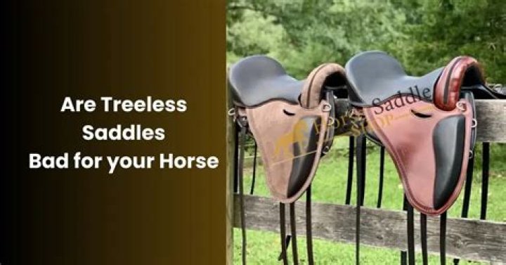 Why treeless saddles are bad?